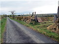 Heol fach ger Bryn-bugail / Minor road near Bryn-bugail