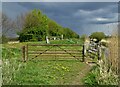 By The River Torne - near Kilham Farm