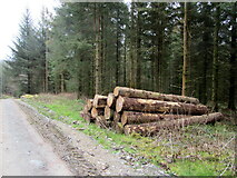 SJ0939 : Roadside log pile by John H Darch