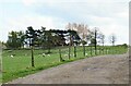 SE2699 : Track to Rushwood Farm by Gordon Hatton