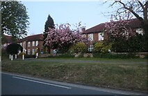 TQ1666 : Wrythe Court on Portsmouth Road, Thames Ditton by David Howard