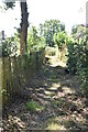 Footpath nearing Birchgrove Farm