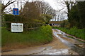 Ferry Road towards Ferry Farm and the river