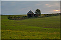 Nettlestone : Grassy Field