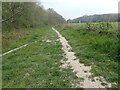 The Wealdway alongside Hendall Wood