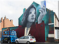 Isaac Newton Mural, Kirkby Street, Lincoln