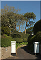 Trees and gate piers, Middle Warberry Road