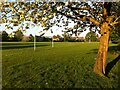 Football pitches, Holbrook Park