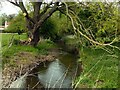 Dover Beck below Gonalston