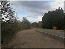 TF6523 : Lynn Road, North Wootton by David Howard
