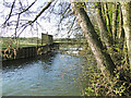 TM2281 : Weir on the Waveney at Needham by Adrian S Pye