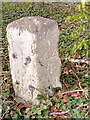 Old Milestone, B3404, No Man?s Land, Chilcomb Parish