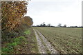 Footpath along field boundary