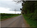 National Cycle Route 7 beside woodland