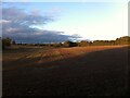 Field by River Sowe, Exhall