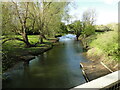 TM2885 : River Waveney upstream from Homersfield roadbridge by Adrian S Pye