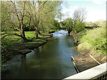 TM2885 : River Waveney upstream from Homersfield roadbridge by Adrian S Pye