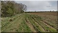 Bridleway nearing Duns Tew Road