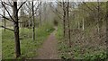 Path heading to Worton Road