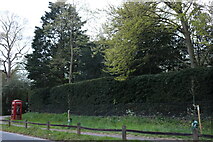 TL4458 : Woodland by Queen's Road, Cambridge by David Howard