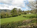 Fields by Capel Soar