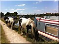 Coventry Canal, looking towards Sutton Stop