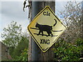 Cat crossing