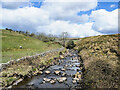 River Calder, upstream