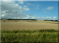 Cereal crop, Kintrockat