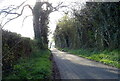 National Cycle Route 70 near Stripes Farm