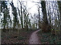 NY7607 : Path in Jubilee Park, Kirkby Stephen by JThomas