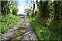 H5371 : Bend along Dreenan Road by Kenneth  Allen