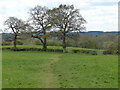 North Worcestershire Path at Wast Hills