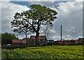 Approaching Balne Lodge