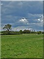 Farmland east of Balne