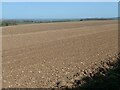 Bare field, Helperthorpe Moor