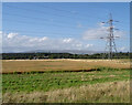 Cereal crop and pylon near Mill of Pert