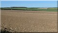 Bare field at the northern end of Wad Dale