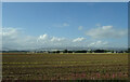 Stubble field towards Mains of Luther