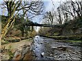 Footbridge at Shotley Grove