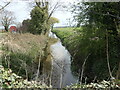 Weighton Beck at River Head