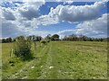 Sussex Border Path