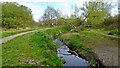 Ickenham Marsh