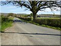 Road approaching Ryefield Farm