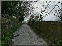 SE1737 : Crooked Lane, off Westfield Lane, Idle by Stephen Craven