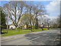 Village green with daffodils, Goostrey