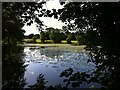 Astley Pool, viewed from Astley Lane looking towards the castle