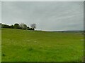 Field below Gilead House Farm