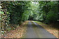 Tandridge Border Path