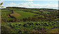 Dawlish Water valley from Oakpark Lane